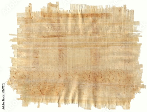 Obraz na płótnie feuille de papyrus