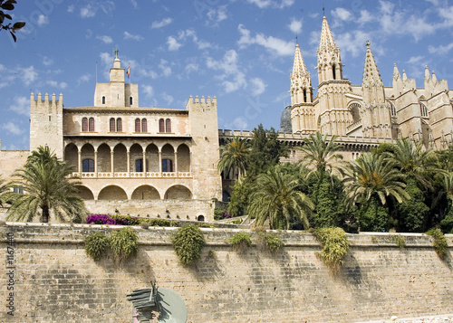 palma cathedral