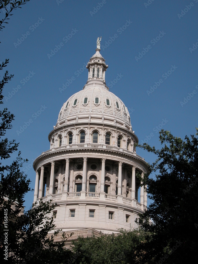 Obraz premium texas capitol