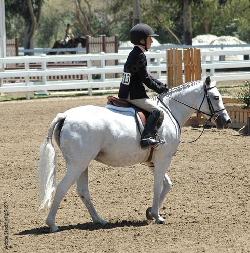 show pony and rider