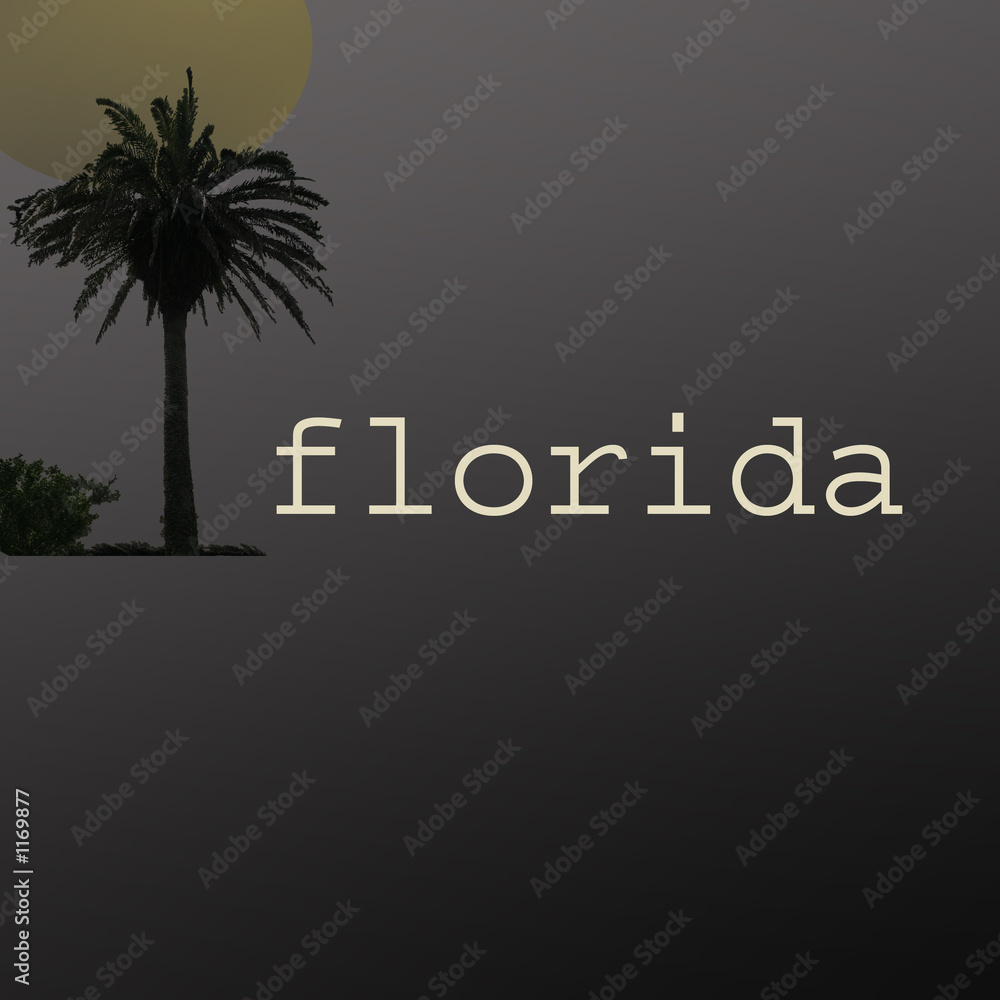 Obraz premium florida logo