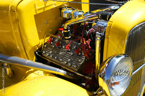 flathead