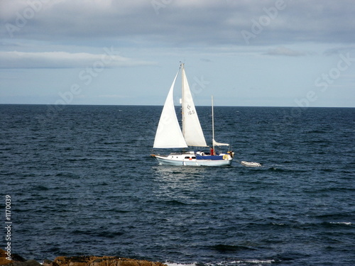 sailing