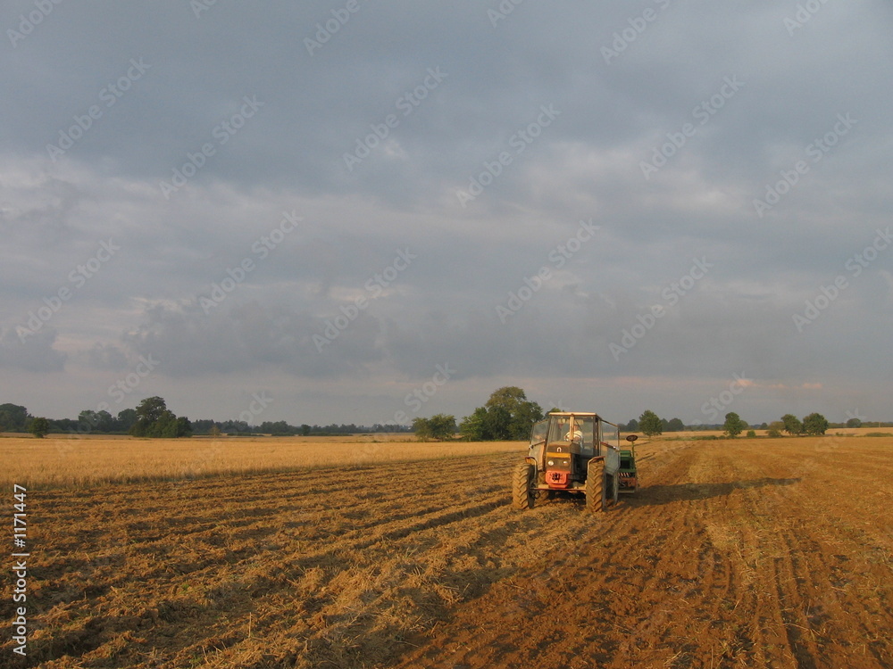 Obraz premium sowing