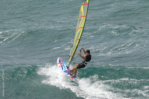 windsurfer 51