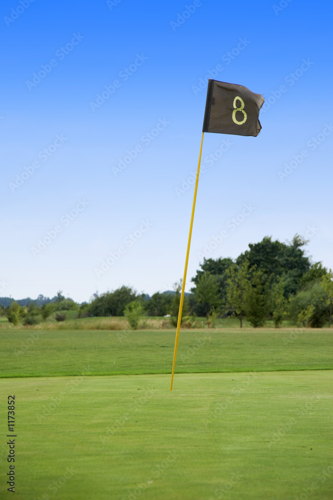 Obraz premium putting green 8