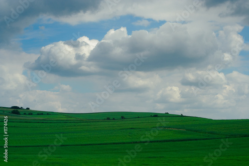 green hills photo