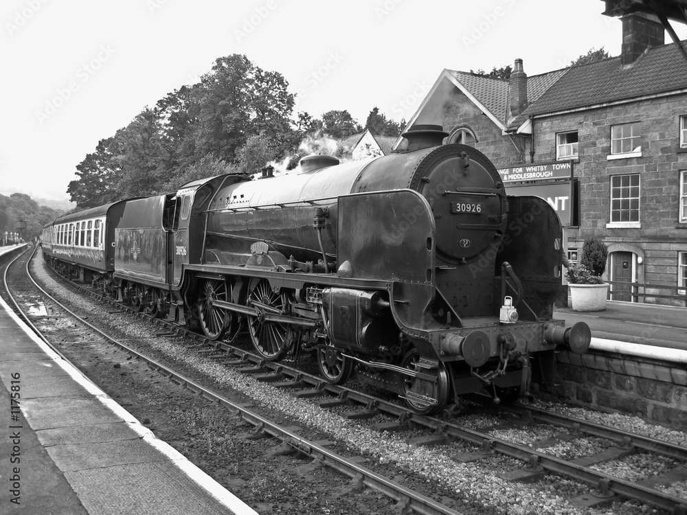 Fototapeta premium steam train