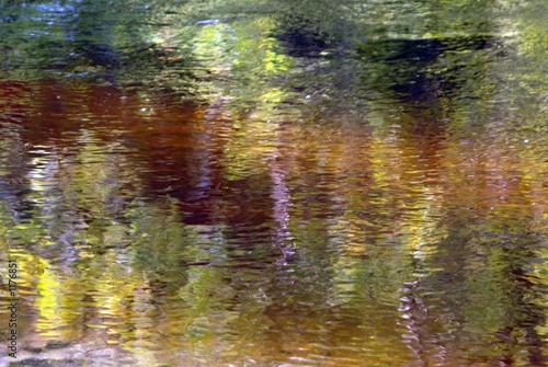 summer river reflections