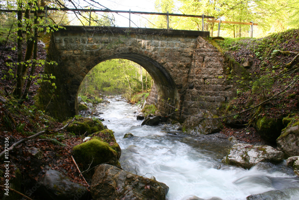 Fototapeta premium pont forestier