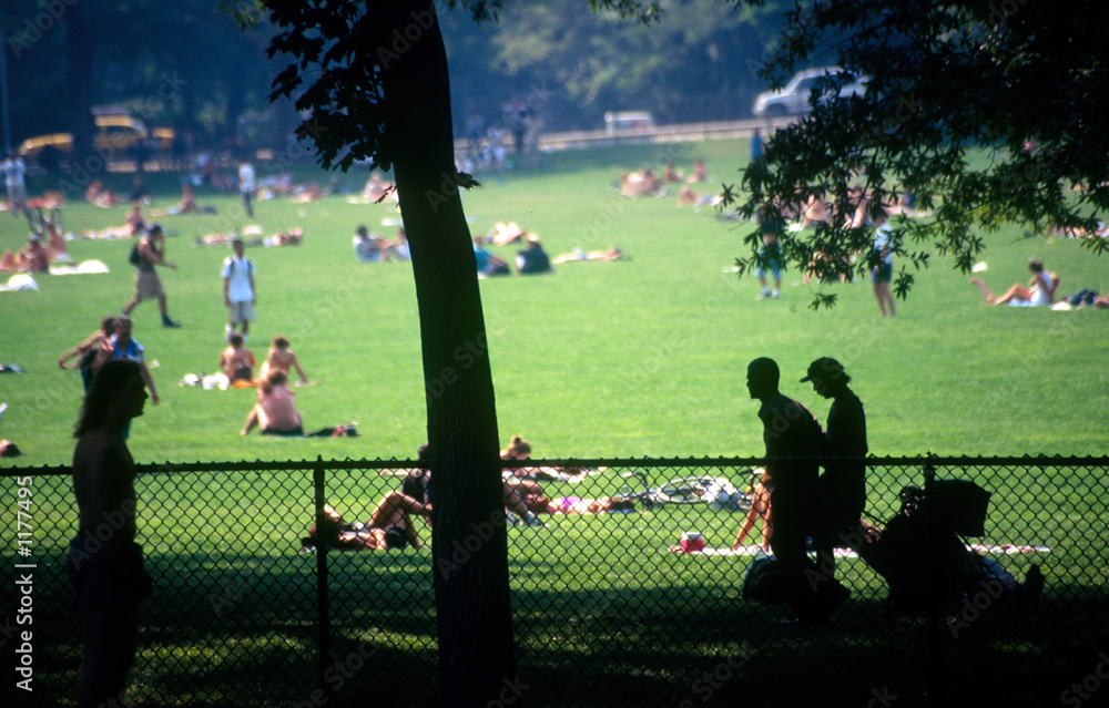 Fototapeta premium great lawn in central park nyc