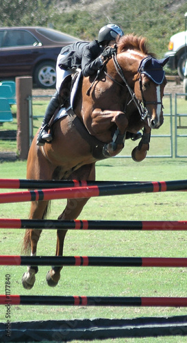 show horse jumping barrier