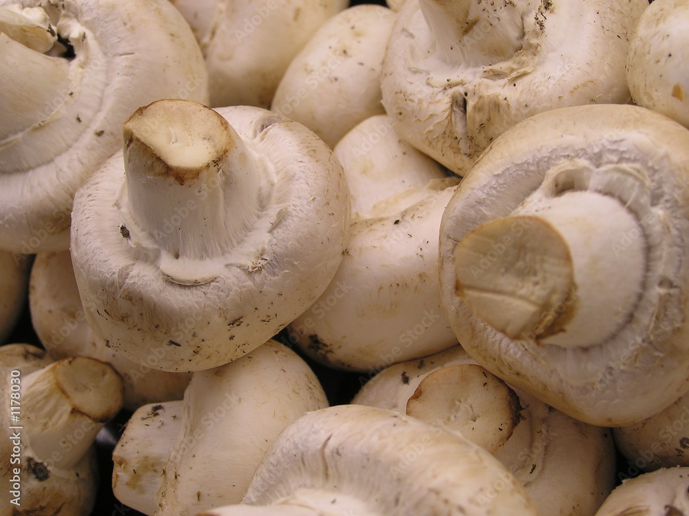fresh mushrooms fresh mushrooms