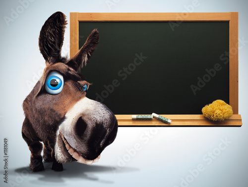 l'âne de la classe photo
