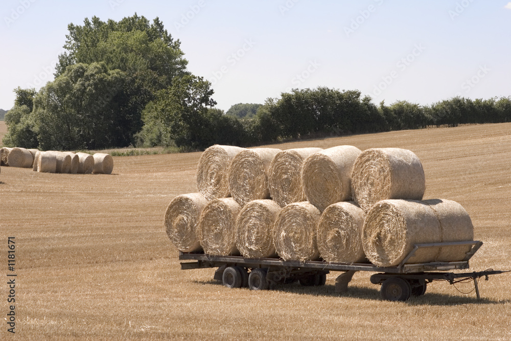 strohballen bereit zum abtransport2 strohballen bereit zum abtransport2