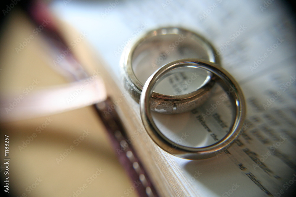 wedding rings on a bible wedding rings on a bible