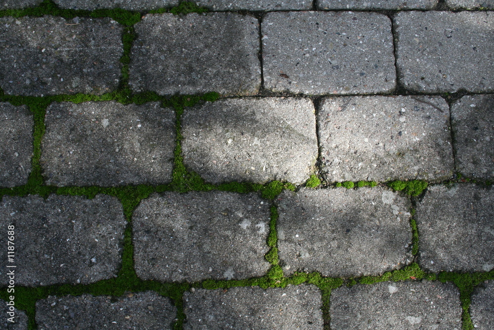 old pavement and moss old pavement and moss