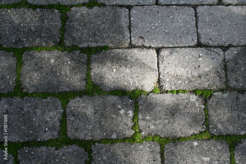 old pavement and moss