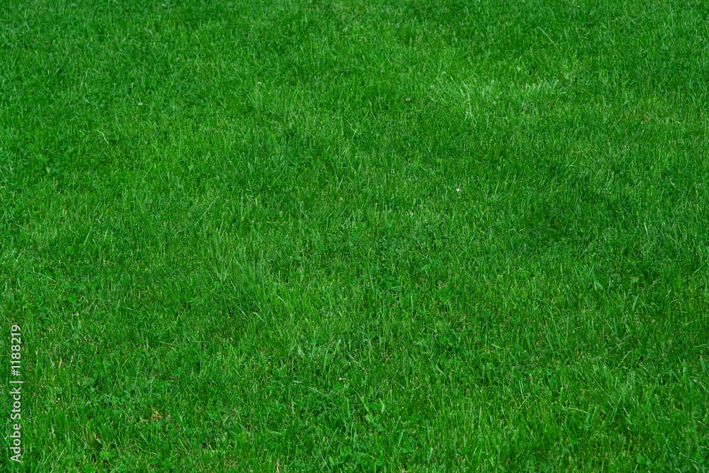 Naklejka Zielona trawa