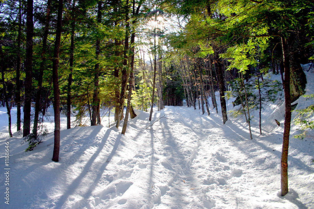 Naklejka premium winter in new england, usa