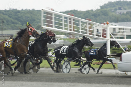 harness race-6