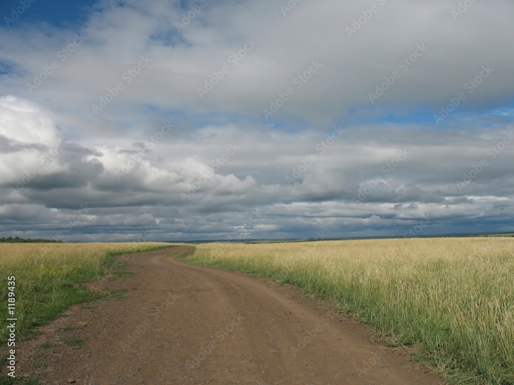 Fototapeta premium field, road, sky and clouds
