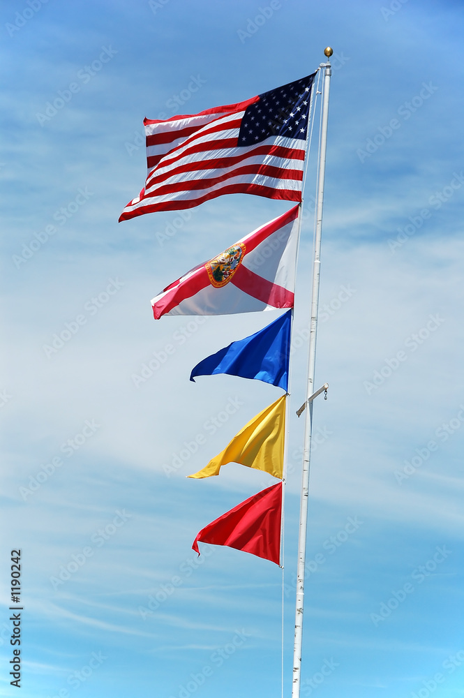 flags of usa,florida and navy