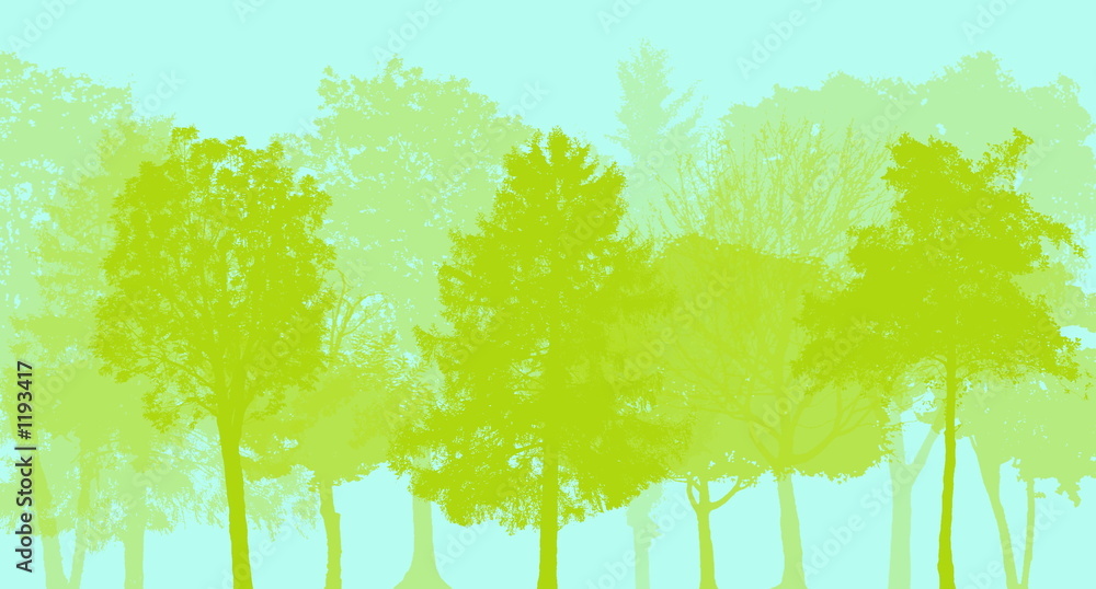 Obraz premium arbres