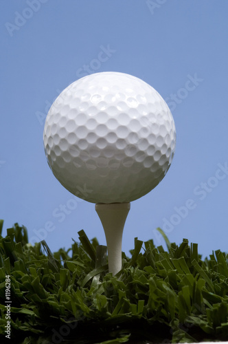 golf ball on tee on grass photo