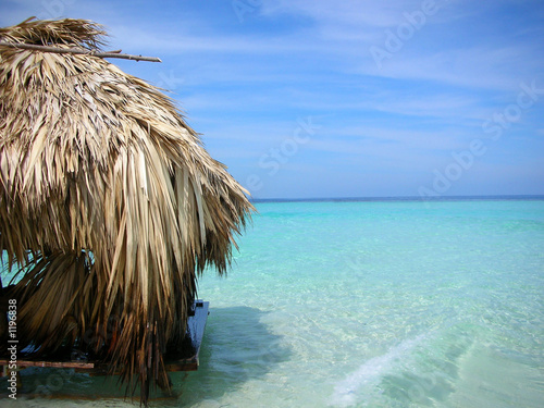 hat on paradise island photo