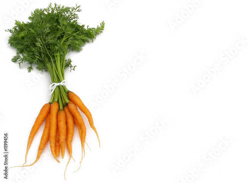 carrot bunch photo