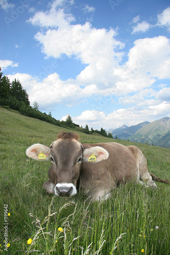 05sterzing_00