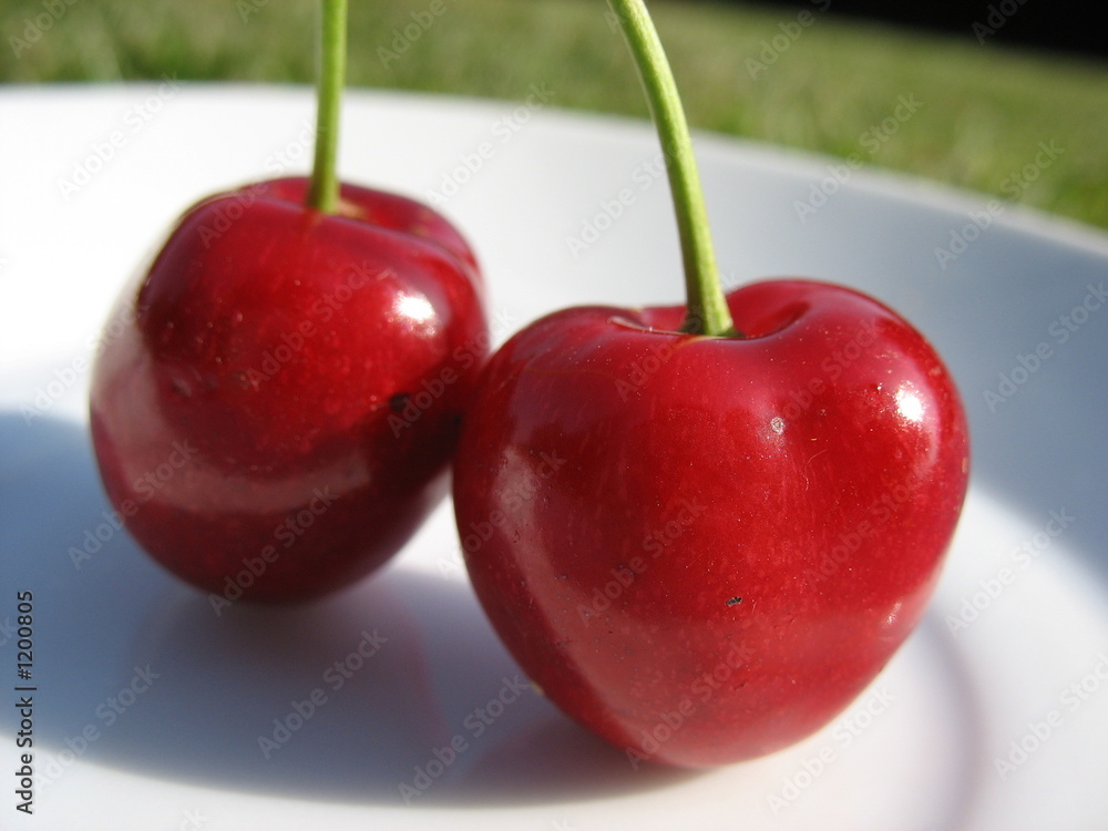 cerises du perche cerises du perche