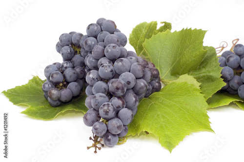 bunch of grape