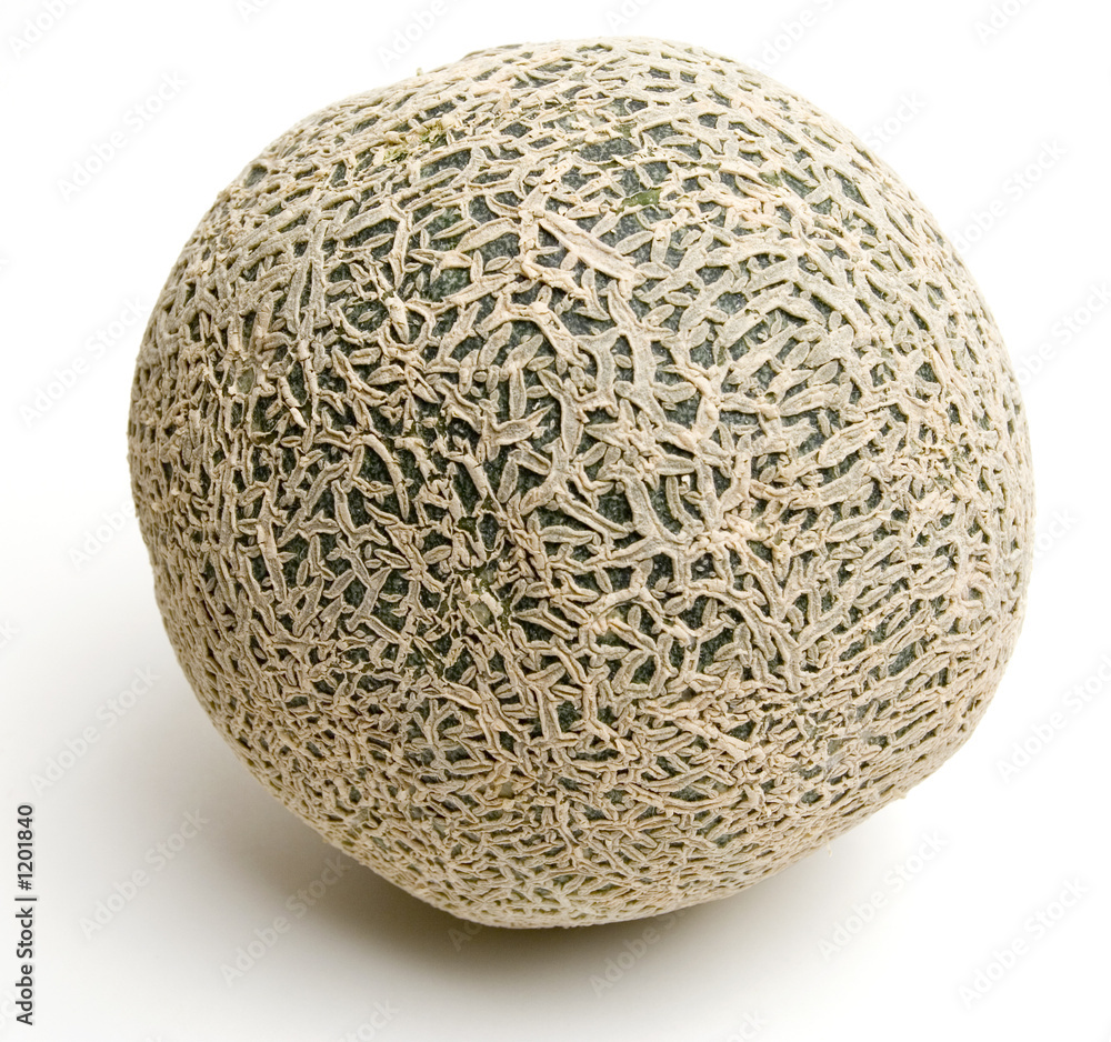 single cantaloupe single cantaloupe