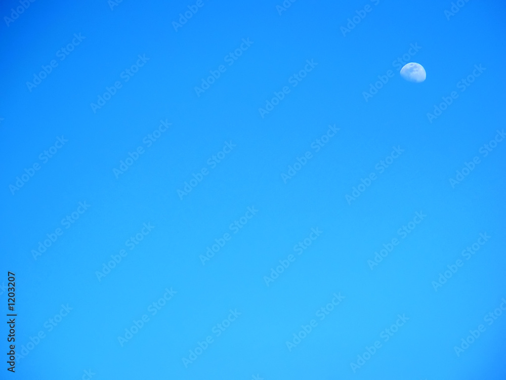 moon in sky moon in sky