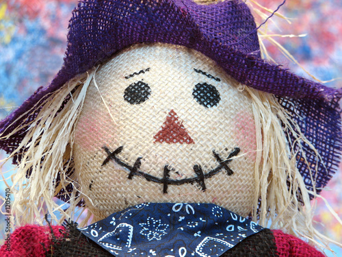 Cuadro en lienzo scarecrow