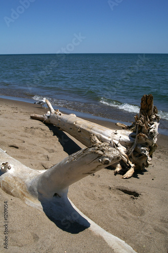 rouge beach