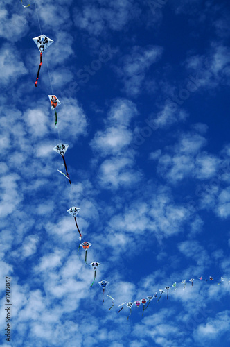 flying kites