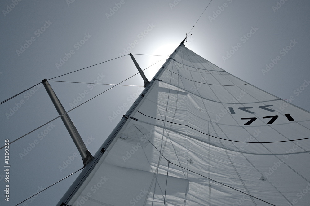 Fototapeta premium sun sailutation