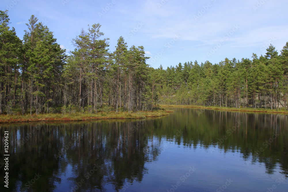 forest lake