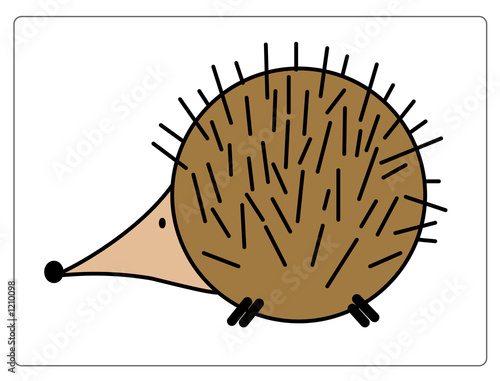 animal illustration series: hedgehog