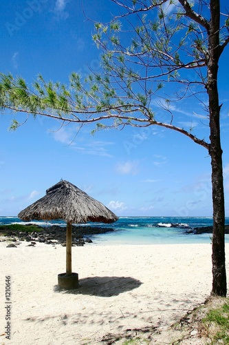 beach. mauritius. © AlKulon