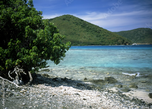 jumbie bay photo