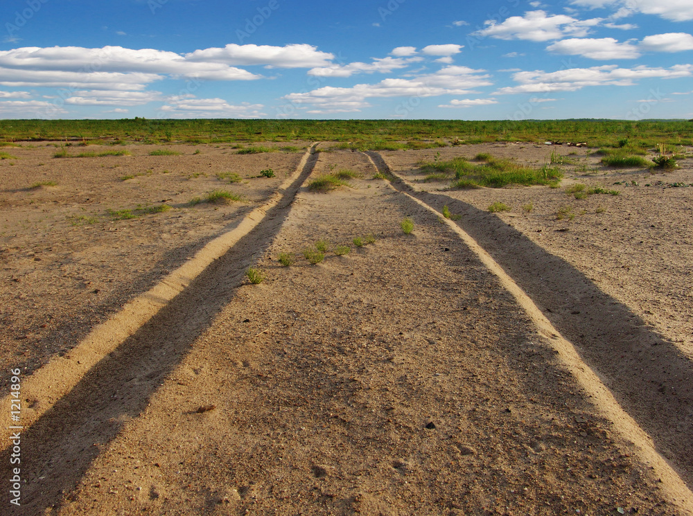 Naklejka premium tracks on sand