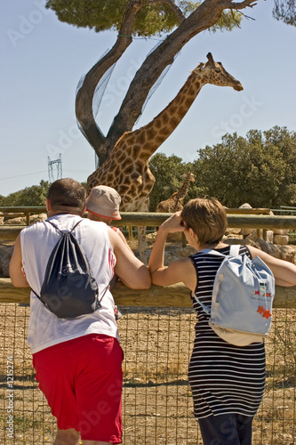 day at the zoo