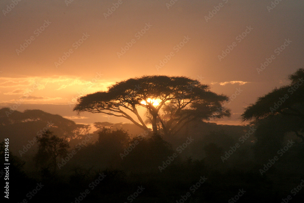 Obraz premium coucher de soleil