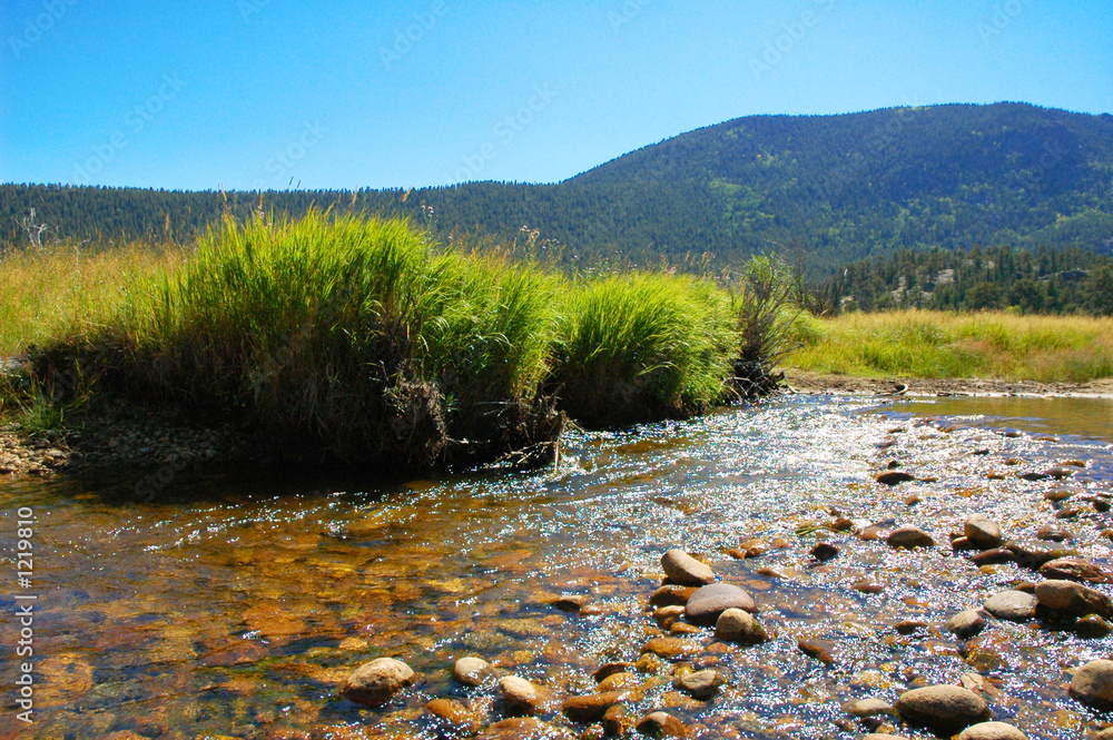 Naklejka premium river