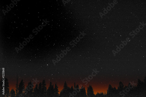 haunted forest-fire