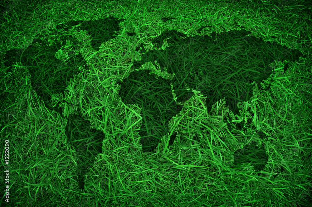 Obraz premium green grass world map